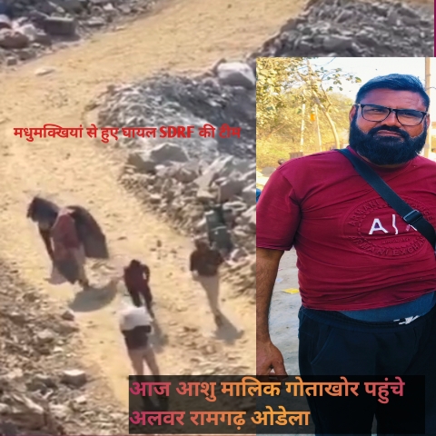 ओडेला में एसडीआरएफ रेस्क्यू टीम पर मधुमक्खियों का हमलाः शुक्रवार को खाई में गिरे ऑपरेटर के लिए चालाया जा रहा था सर्च ऑपरेशन, एसडीआरएफ अधिकारी सहित तीन जवान घायल 20260208 202540